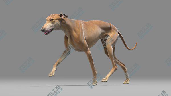 images/goods_img/20210312/3D Greyhound Animated/2.jpg